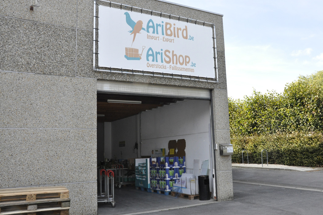 Aribird Arishop Beselare 1